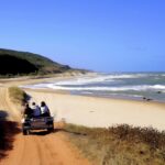 International Surf Trips